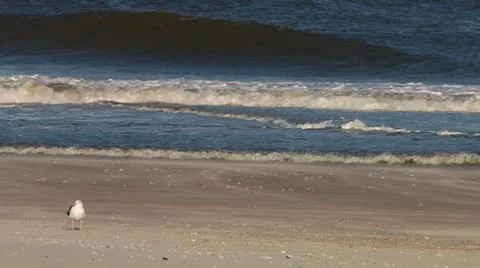 LP-PointPleasant-A49 Vídeos de archivo 8853135