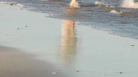 LP-PointPleasant-A67b Stock-Footage 8853817