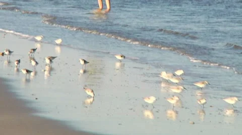 LP-PointPleasant-A69 Vídeos de archivo 8853796