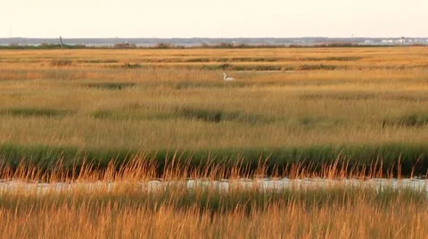 LP-PointPleasant-A79 Video stock 8853850