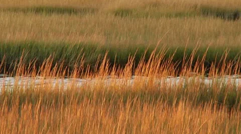 LP-PointPleasant-A80a Video stock 8853867