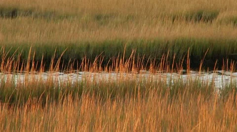 LP-PointPleasant-A80b Vídeos de archivo 8853884