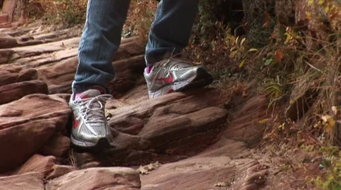 LP Zion 158c Stock Footage 8515511