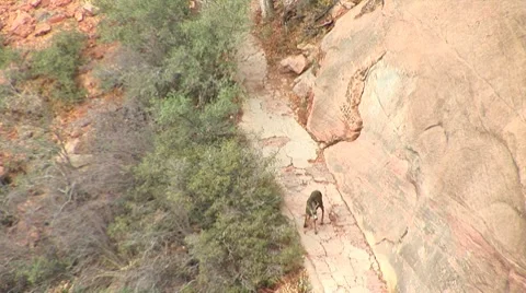 LP Zion 193a Stock-Footage 8515839