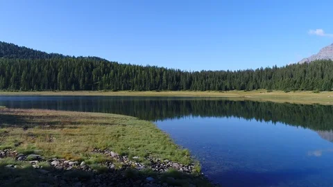 Lpine lake and forest in mountain, Valmalenco, Palù lake. Stock Footage 93554192