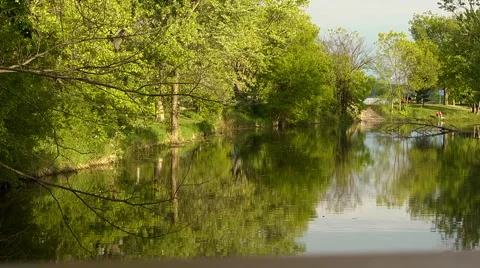 LS BETTER COLOR PHALEN Video stock 5505036