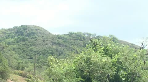 LS Green Mountain Stock Footage