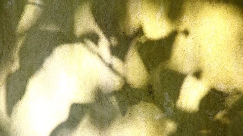 Ls1 Stock Footage 97318254