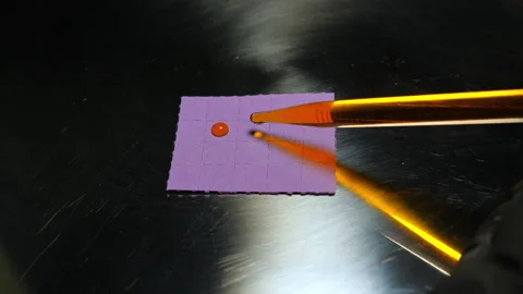 LSD blotter paper as part of controlled psychedelic research including micr.. Stock Footage 340415881