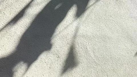 Lsd1 Stock Footage 319806663