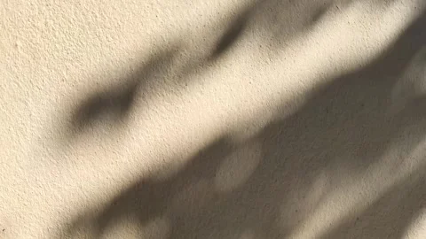 Lsd2 Stock Footage 321523403