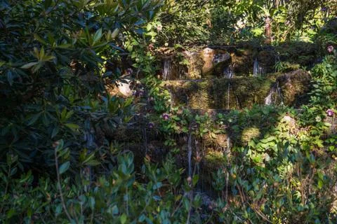 Lttle mini waterfalls through a tree Stock Photos