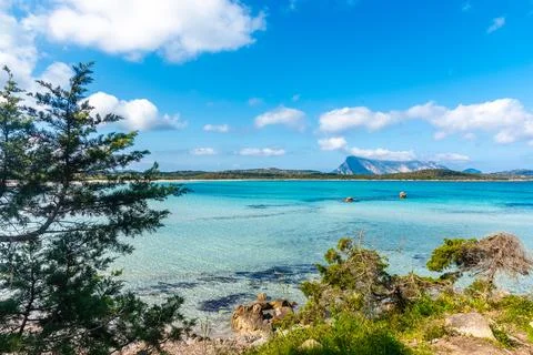 Lu Impostu beach in springtime Stock Photos