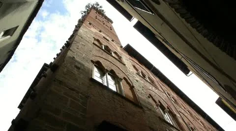 Lucca old tower Stockbeeldmateriaal 12386523