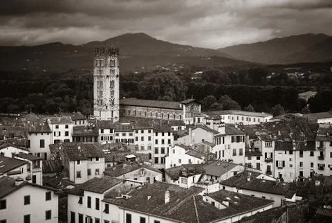 Lucca skyline tower Stock Photos