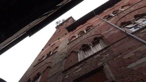 Lucca, Torre Guinigi Stock Footage 73665498