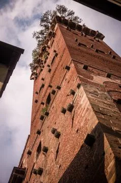 Lucca Tower Stock Photos