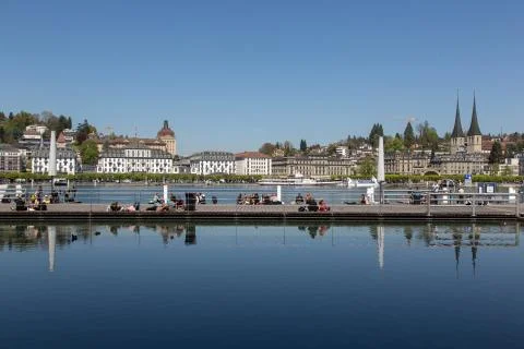 Lucerne Stock Photos