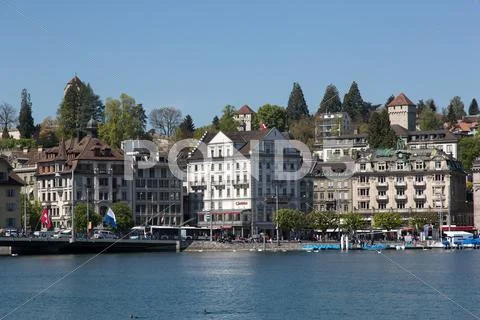 Lucerne Stock Photos