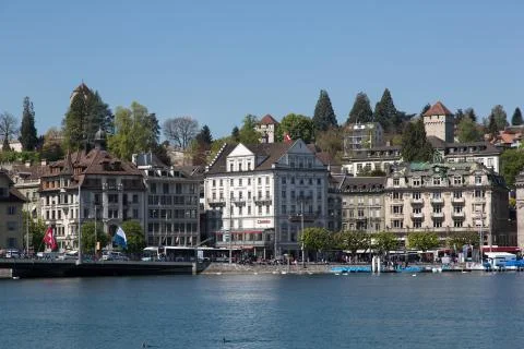Lucerne Stock Photos