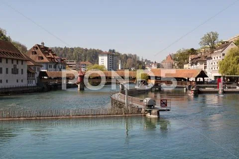 Lucerne Stock Photos