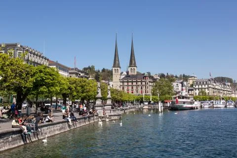 Lucerne Stock Photos
