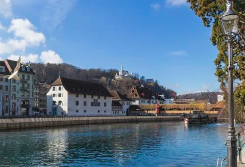 Lucerne Stock Photos