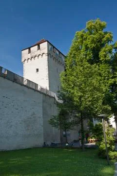 Lucerne Stock Photos