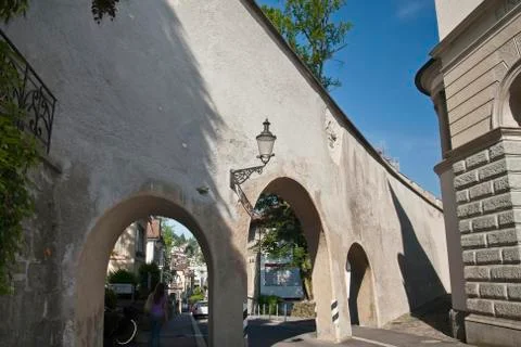 Lucerne Stock Photos