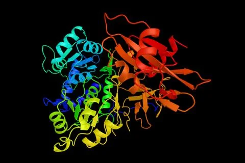 Luciferase (3d structure), oxidative enzyme that produces bioluminescence. .. Stock Illustration