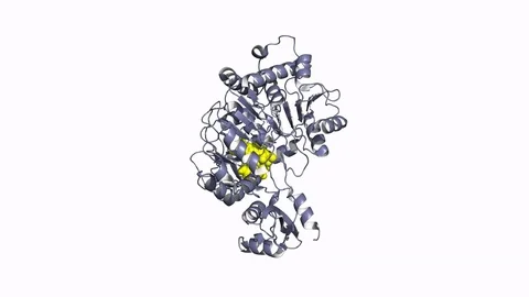 Luciferase enzyme, rotating model 스톡 동영상 79799787