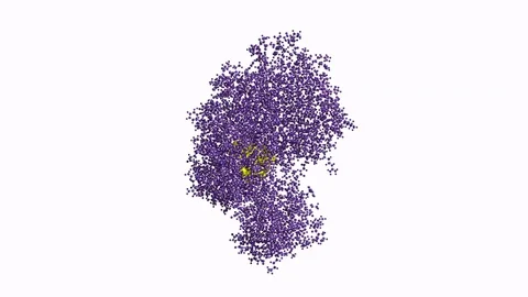 Luciferase enzyme, rotating model Stock Footage 79799996