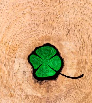 Luck flower Stock Photos