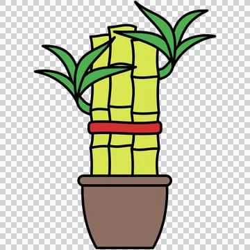 Lucky bamboo Ilustración de archivo