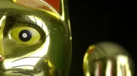 Lucky Cat Close Up Stock Footage 58826728