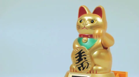 Lucky cat doll Stock Footage 37841433