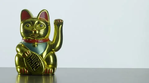 Lucky Cat Stock Footage 58825850