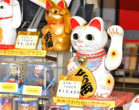 Lucky cat Stock Photos
