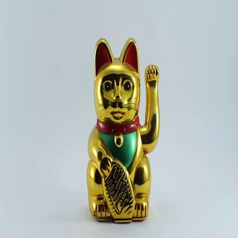 Lucky Cat on white background Stock Footage 69509186