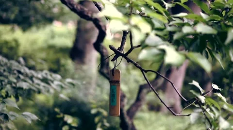 Lucky charm Stock Footage 54896548