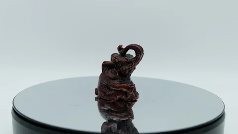 Lucky Elephant 360 Stock Footage 113639307