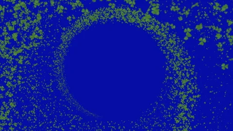 Lucky Flow Trail Stock Footage 304590592