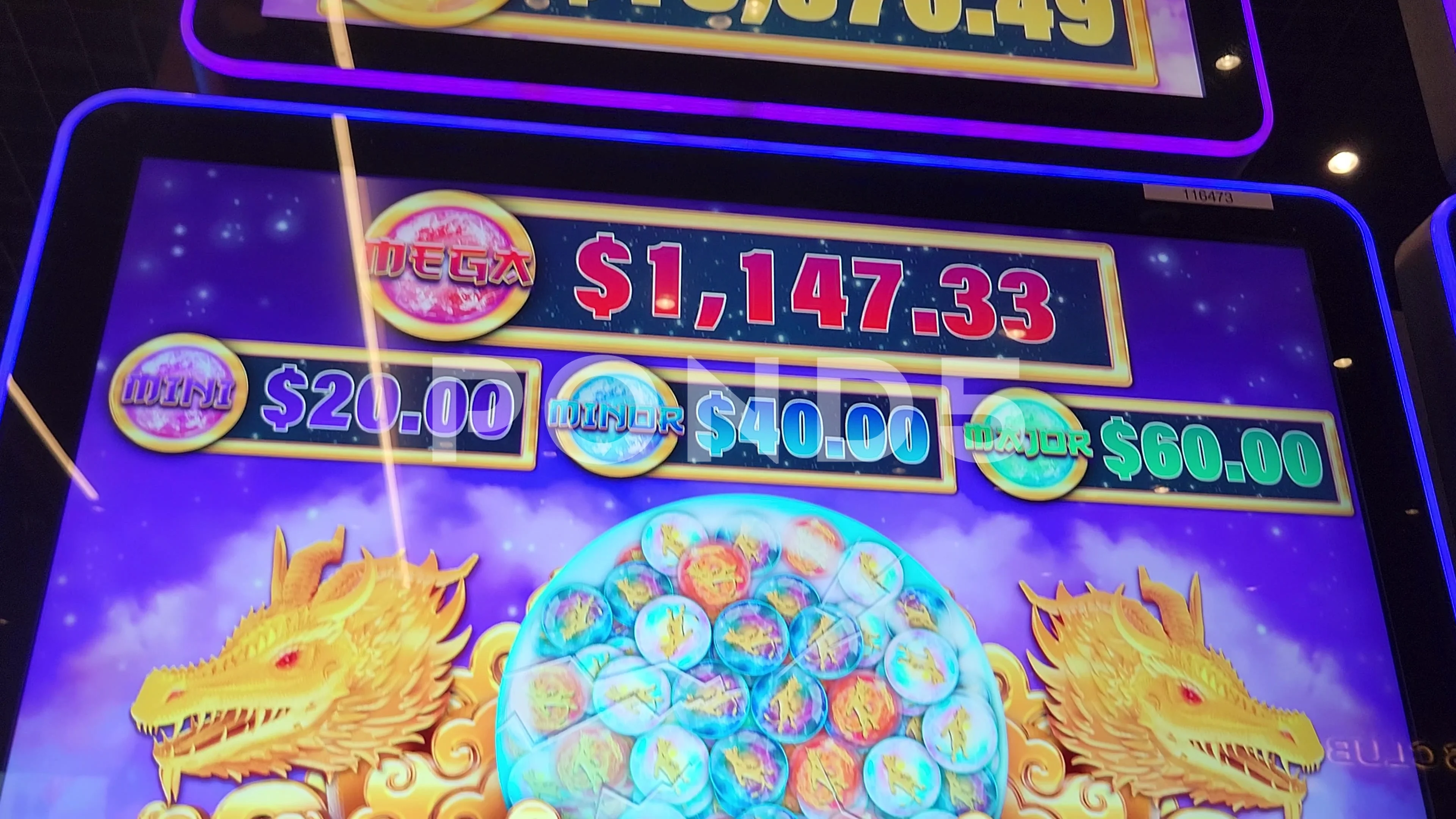 lucky hog slot machine