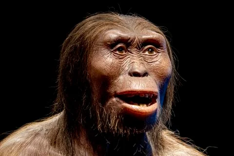 Lucy neanderthal cro-magnon female face isolated on black Stock Photos