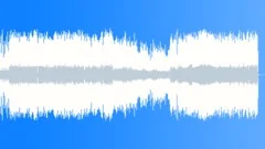 Lucys' gamble -SLStock Music