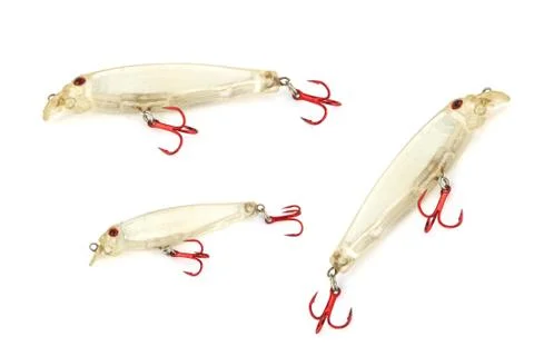 The luer is minnow. Foto stock