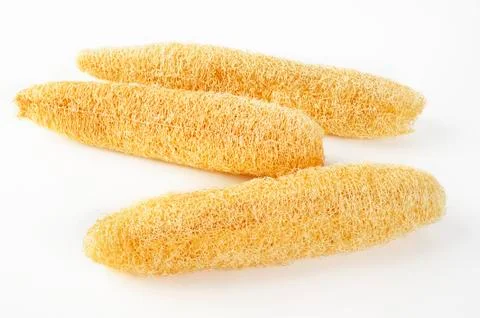 Luffa clean on white background Stock Photos