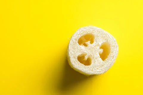 Luffa sponge for zero waste dish washing or bath. Stock Photos