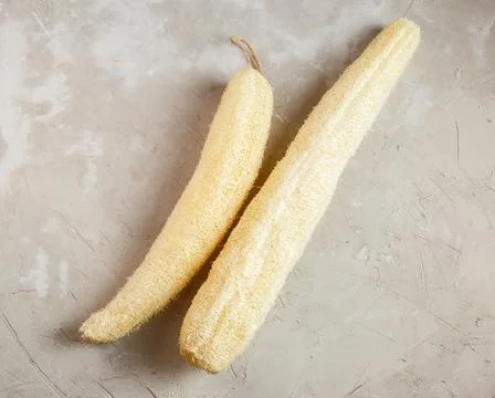 Luffa sponge for zero waste dish washing Stock Photos