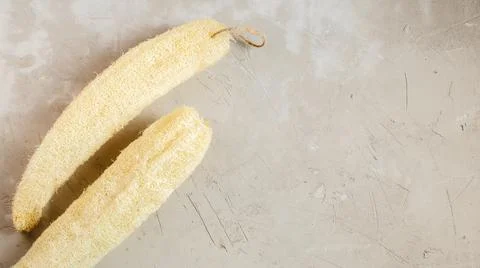 Luffa sponge for zero waste dish washing Stock Photos